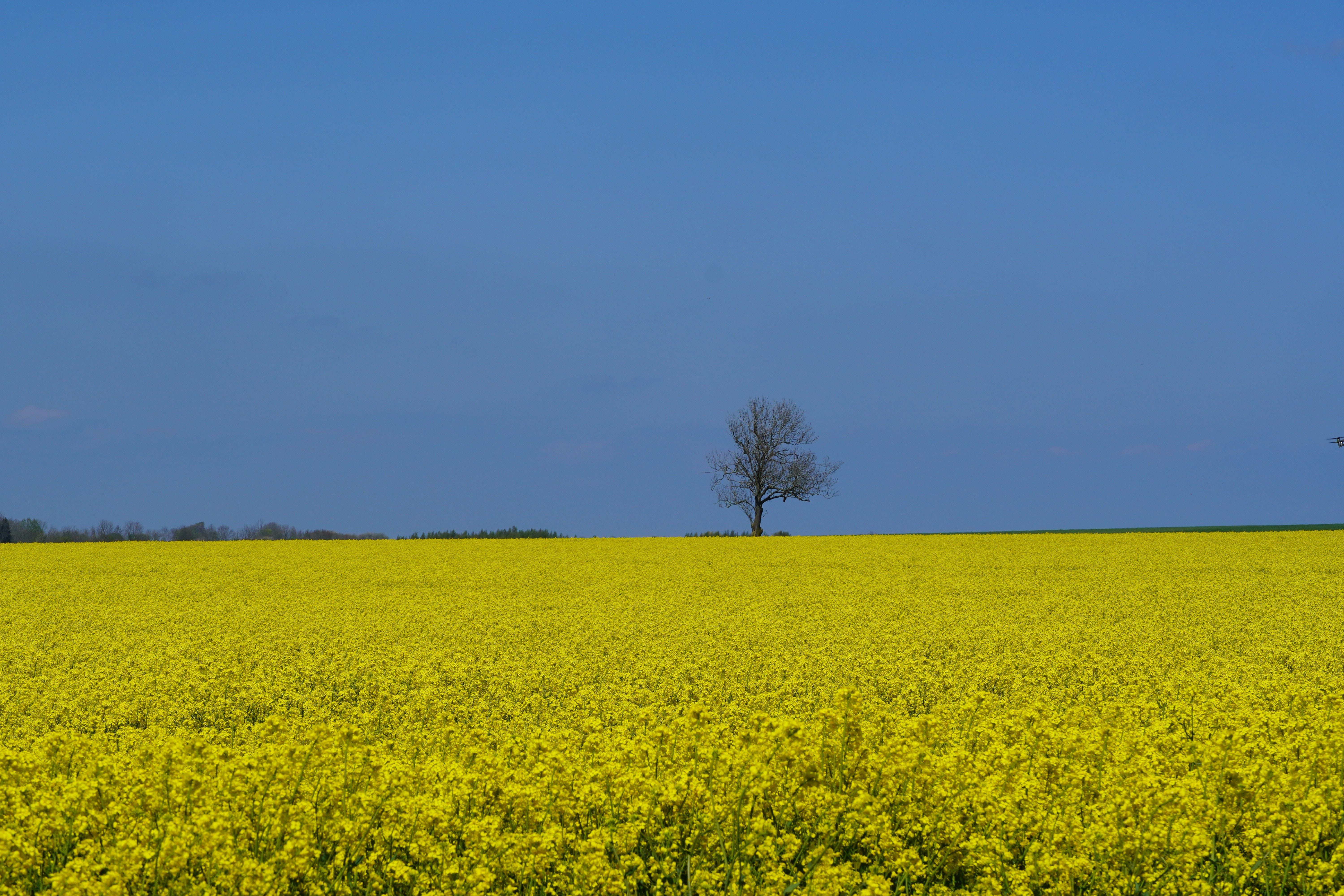 Drag till ditt redskap